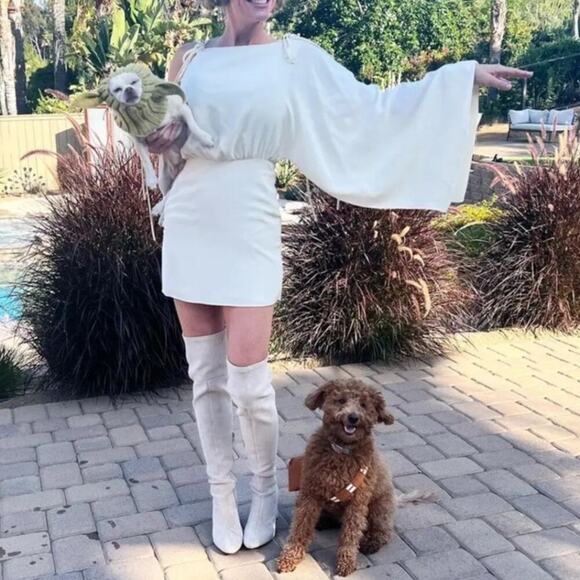 Alexis Wesley Dress One Shoulder Cape Sleeve Mini Blouson 100% Silk Cream Medium - Picture 3 of 10